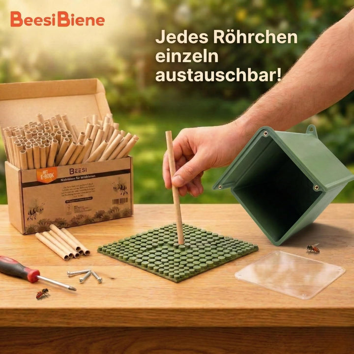 BEESI Insektenhotel für Wildbienen – Wetterfeste Nisthilfe mit 266 auswechselbaren Nisthülsen – Lang