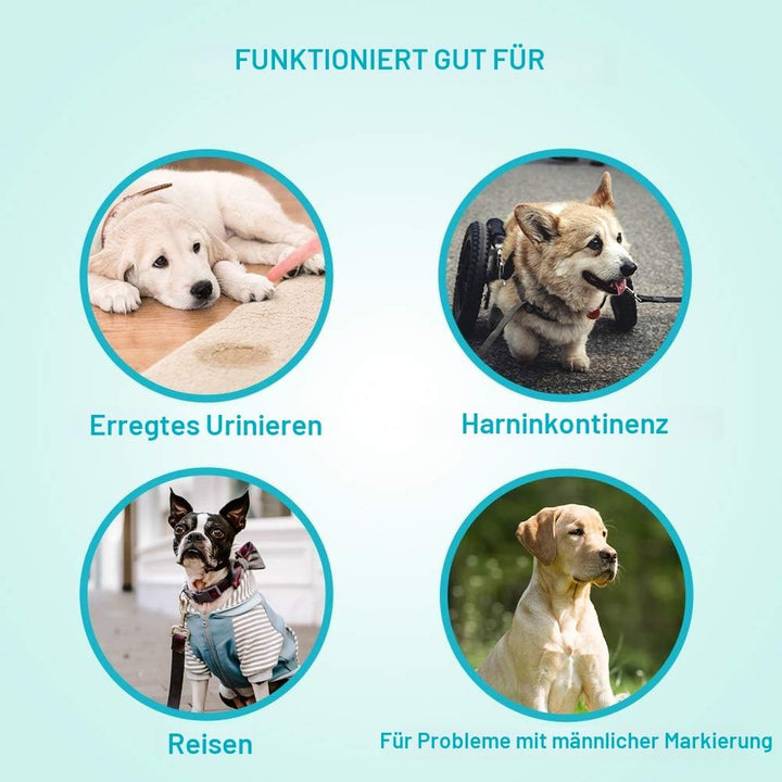 Einweg-Hundewindeln Male Wraps - Super absorbierende weiche männliche Windeln für männliche Hundemar