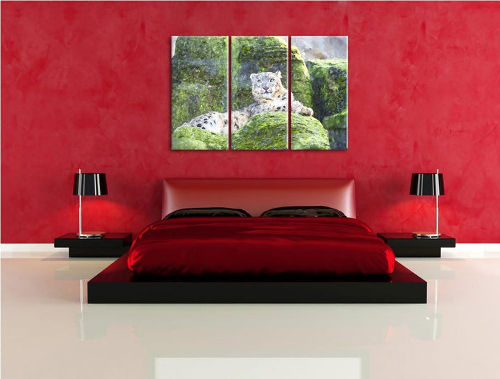 Schneeleopard auf Stein Spezial 3-Teiler Leinwandbild 120x80 Bild auf Leinwand, XXL riesige Bilder f