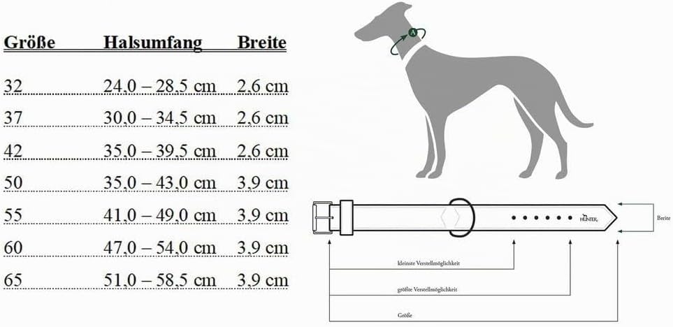 HUNTER BASIC Hundehalsband, beschichtetes Spaltleder, Kunstleder, schlicht, robust, witterungsbestän