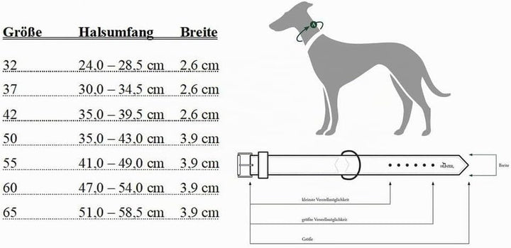 HUNTER BASIC Hundehalsband, beschichtetes Spaltleder, Kunstleder, schlicht, robust, witterungsbestän