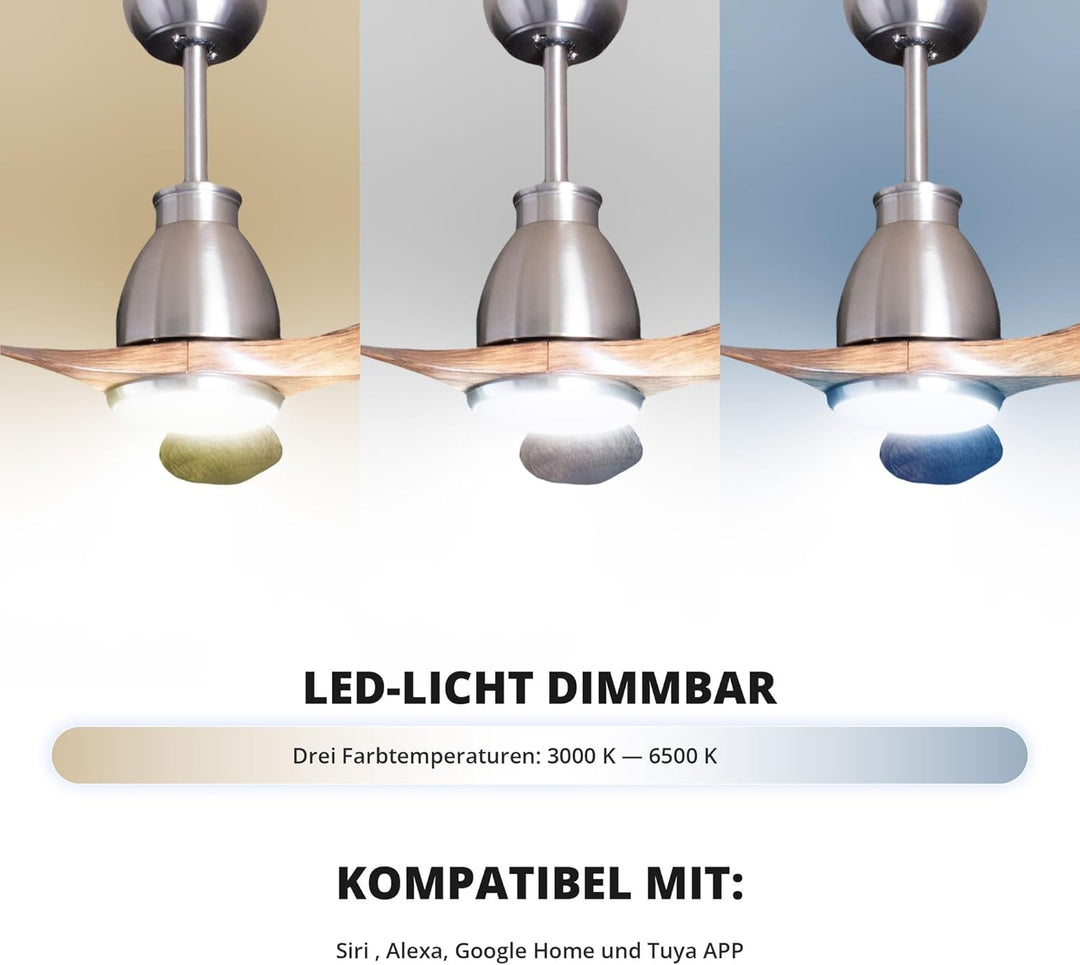 Eclipse Deckenventilator mit Beleuchtung, Leise mit 6 Windstufen, App und Fernbedienung, Sommer und