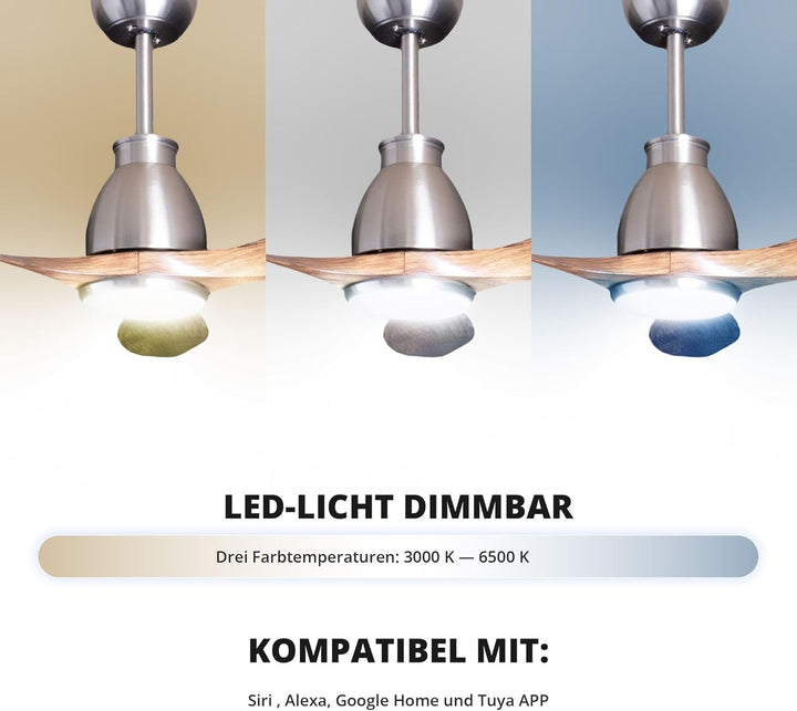 Eclipse Deckenventilator mit Beleuchtung, Leise mit 6 Windstufen, App und Fernbedienung, Sommer und