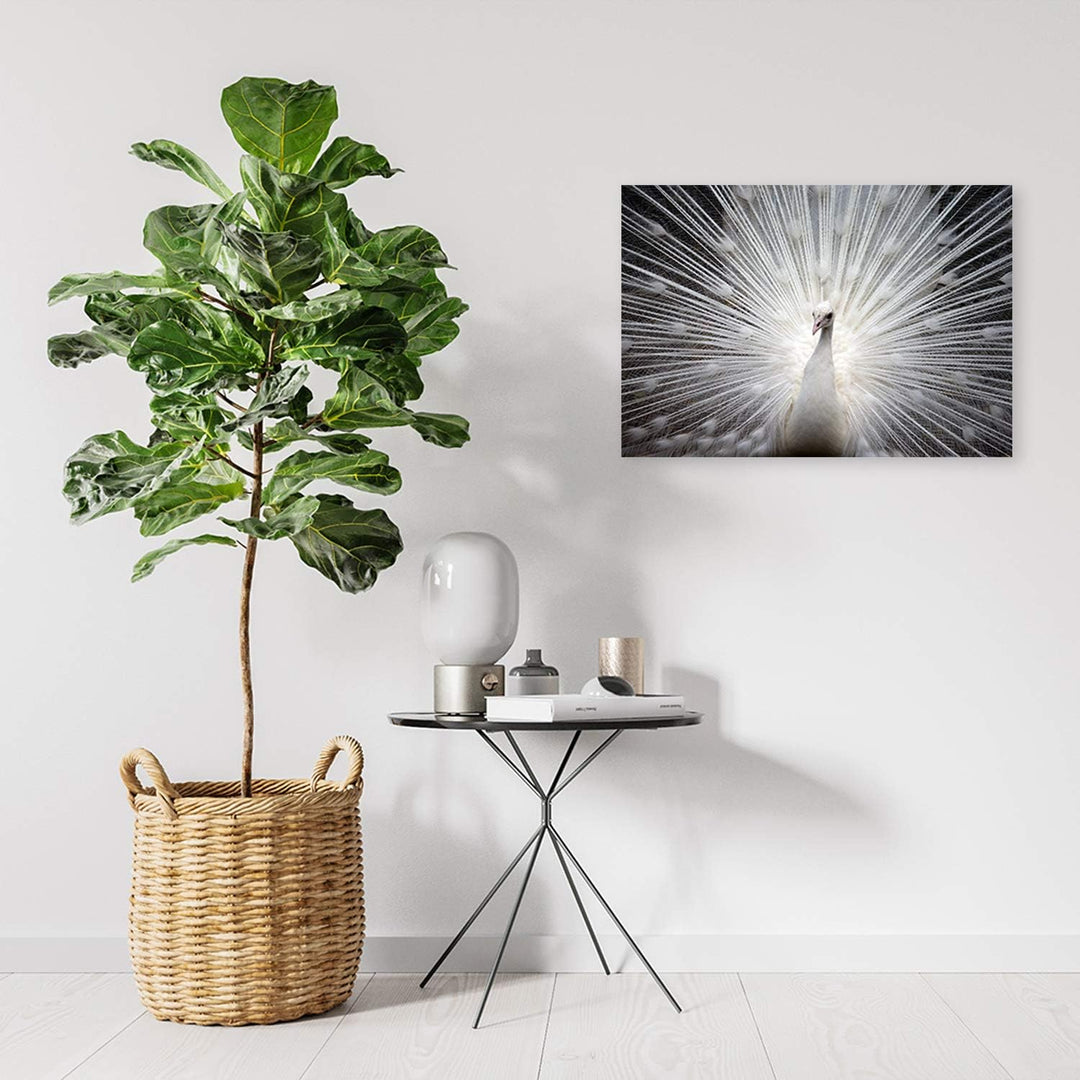 Leinwandbild XXL Tier Wandbild Kunst Vogel Weiss 120x80 cm M14235 120x80 cm, M14235 120x80 cm