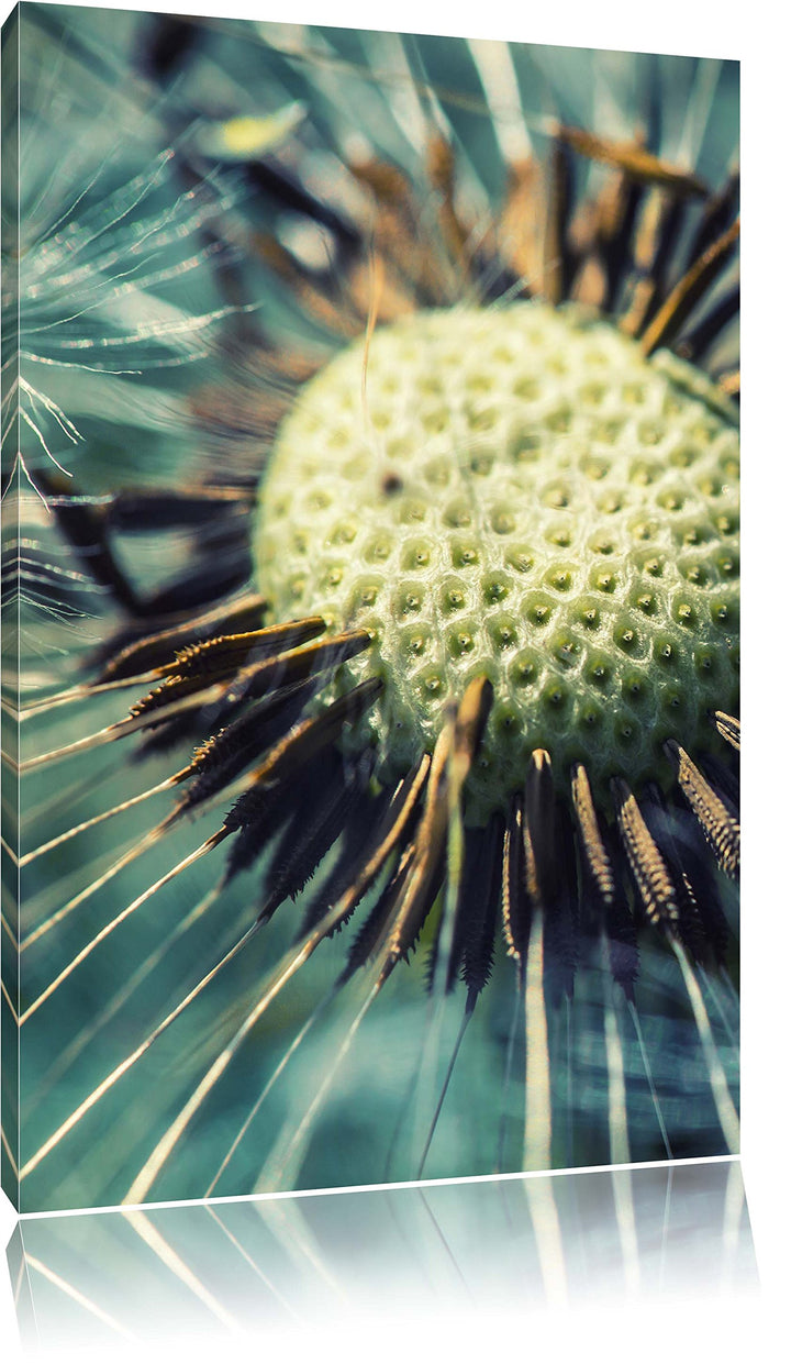 Pixxprint Pusteblume, Format: 100x70 auf Leinwand, XXL riesige Bilder fertig gerahmt mit Keilrahmen,