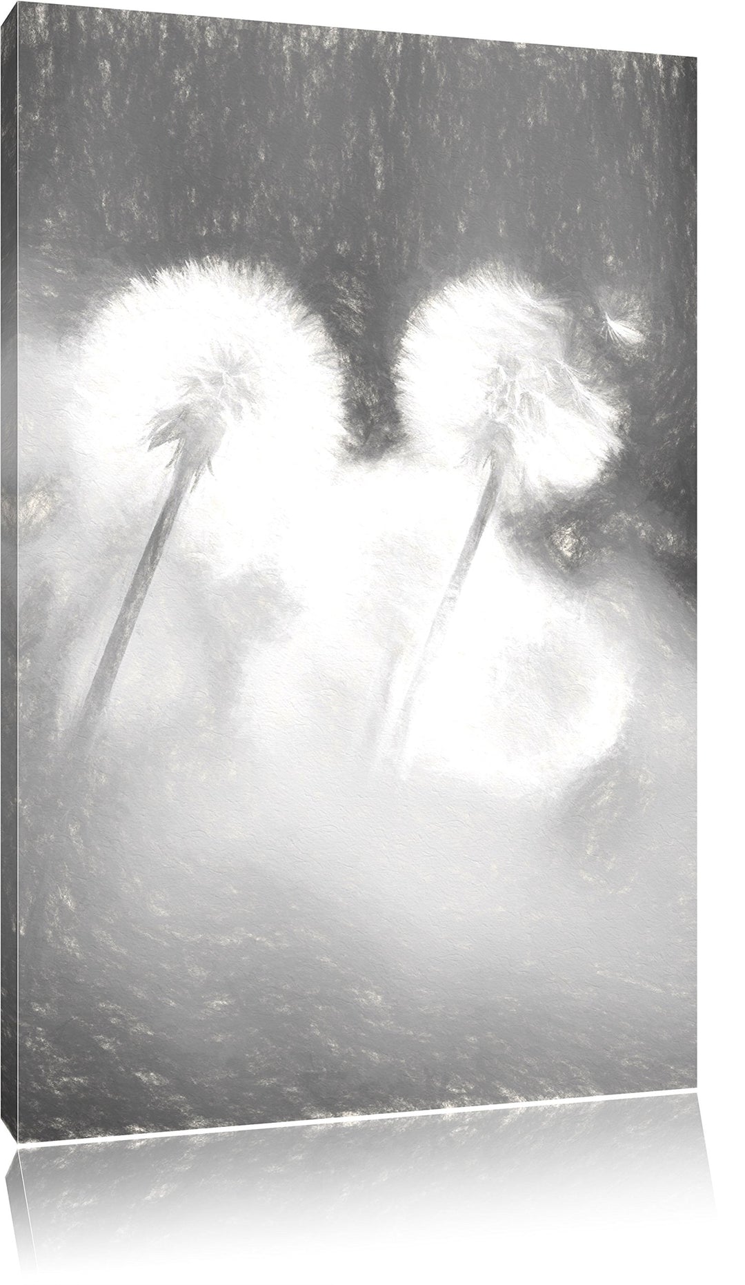 Pixxprint Pusteblumen im morgendlichen Wind Kunst Kohle Effekt, Format: 100x70 auf Leinwand, 100x70