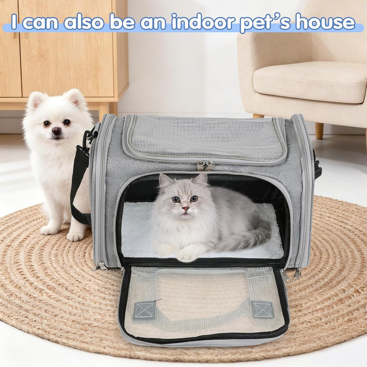 Transportbox für Katze und Hund bis 5.5kg, Tragbare Autotaugliche Transporttasche, Faltbare Katzentr