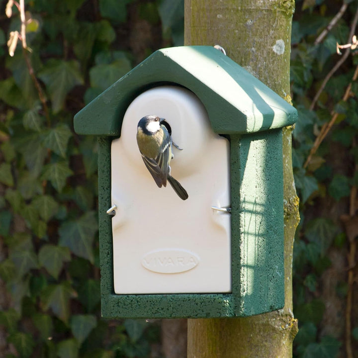 CJ Wildlife Nistkasten – Vogelnistkasten für Meisen mit Marderschutz – Holzbeton Woodstone Grün – Ei