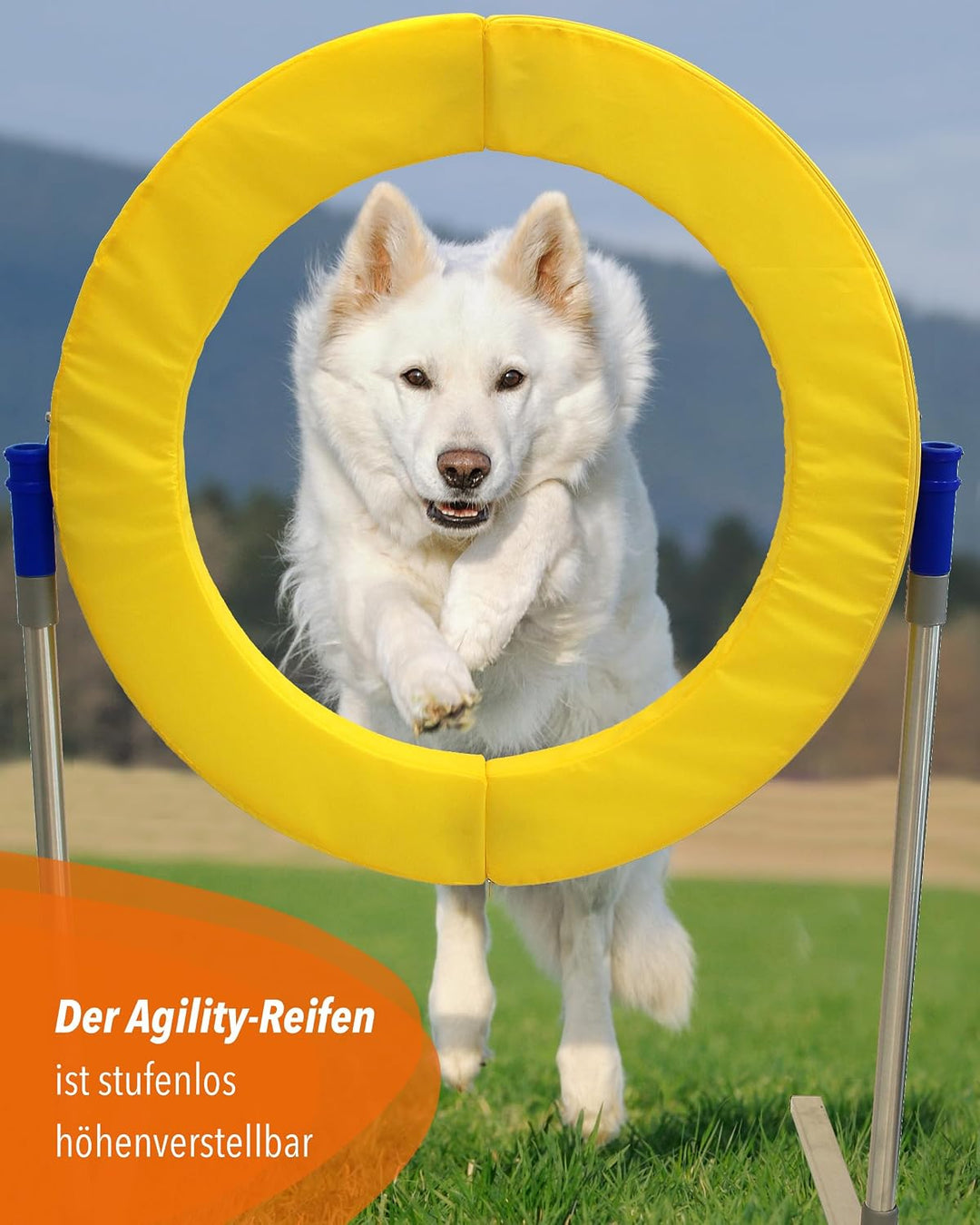 Safety Agility-Reifen – FCI-konform – mit Magnetverschluss &amp; Schaumstofffüllung – höhenverstellbar &amp;