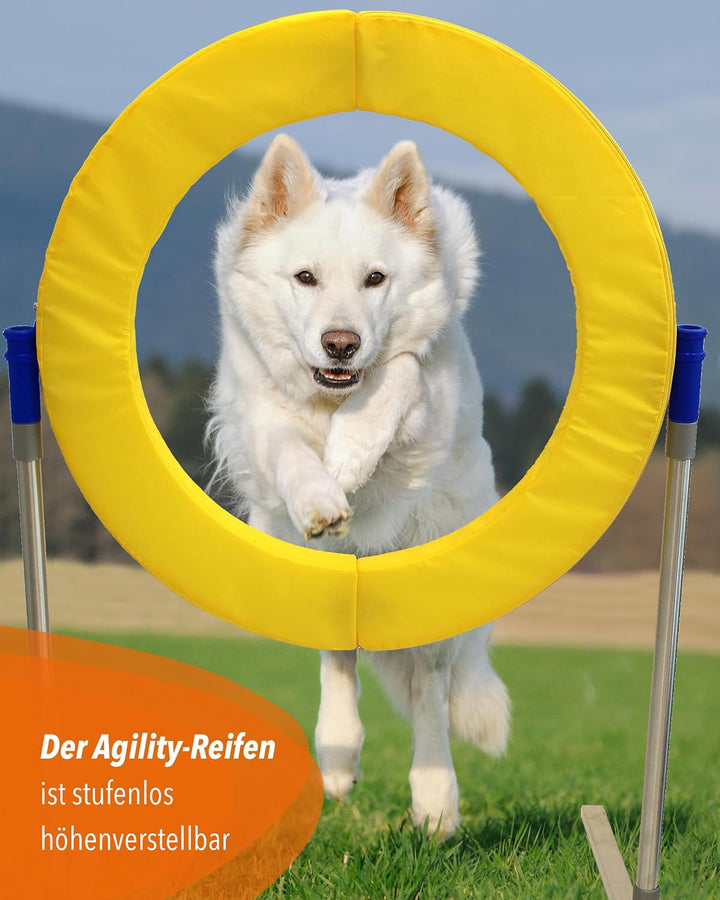 Safety Agility-Reifen – FCI-konform – mit Magnetverschluss &amp; Schaumstofffüllung – höhenverstellbar &amp;