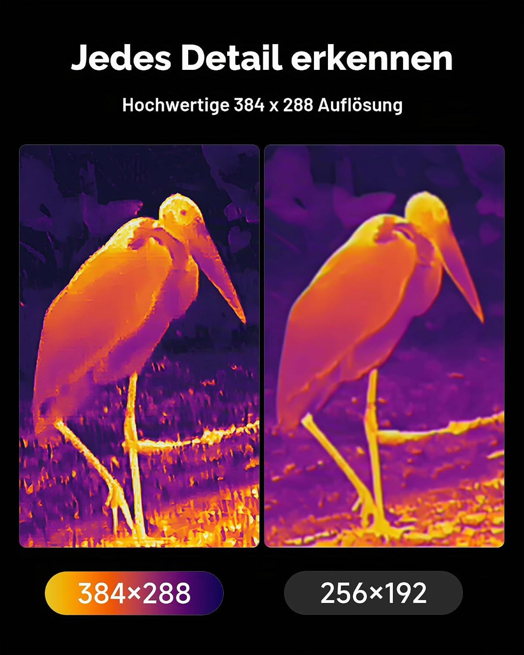 TOPDON wärmebildkamera Jagd TS004 Pro, 384 x 288 IR-Auflösung, 19mm Objektiv Wärmebild-Monokular, 50