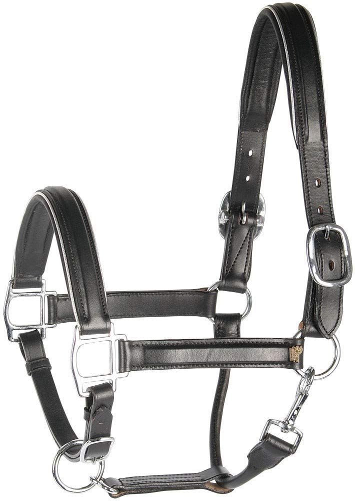 Harry's Horse Halster Leder, zwart met bies, Farbe:Silber, Grösse:cob M silight brauner, M silight b
