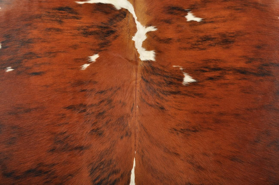 generisch KUHFELL STIERFELL Tricolor BRAUN Weiss Natur CA. 220 x 190 cm XL ECHTER KUHFELL Teppich VO