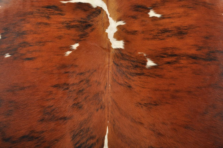 generisch KUHFELL STIERFELL Tricolor BRAUN Weiss Natur CA. 220 x 190 cm XL ECHTER KUHFELL Teppich VO