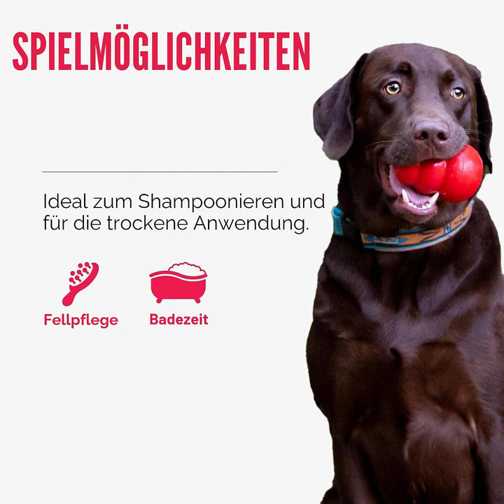 KONG – ZoomGroom – Bürste zur Hundepflege und zum Shampoonieren – Für Grosse Hunde (Rot) Rot Standar