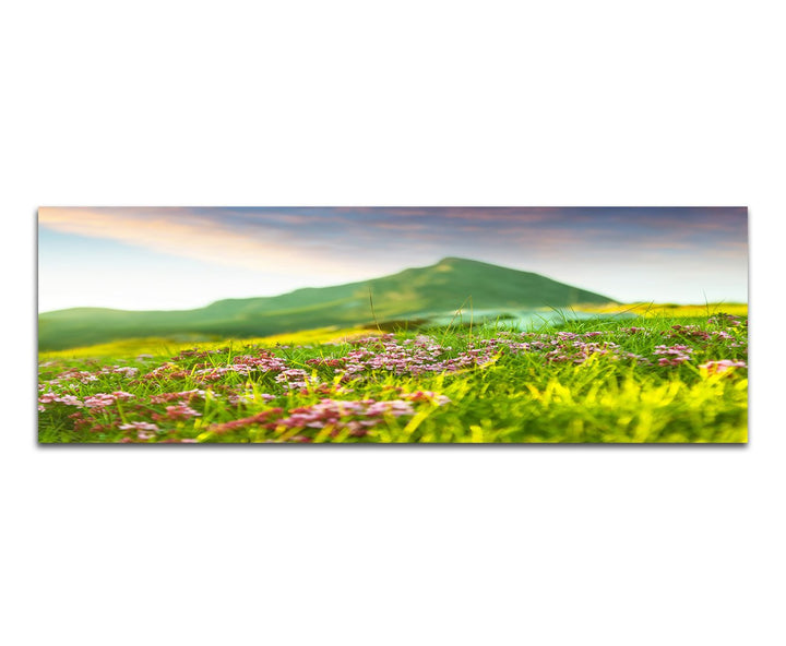 Paul Sinus Art Panoramabild auf Leinwand und Keilrahmen 150x50cm Wiese Blumen Berge Frühling Natur