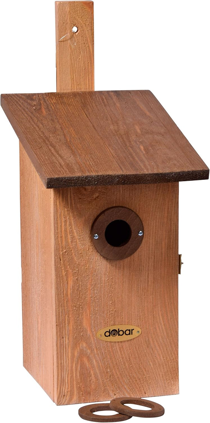 dobar® 22419e Nistkasten Einblick - Nisthöhle für Wildvögel - Höhlenbrüter-Nistkasten Massivholz - P
