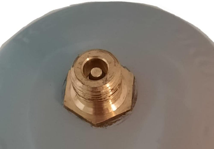 Swan Co2 Einweg Zylinder Flasche 600 gr E290 Kohlesäure Anschluss 11x1 M für Wassersprudler, Kühlagg