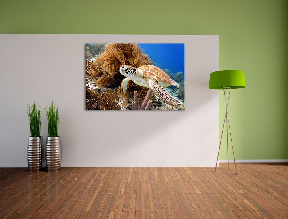 Meeresschildkröte Format: 100x70 auf Leinwand, XXL riesige Bilder fertig gerahmt mit Keilrahmen, Kun