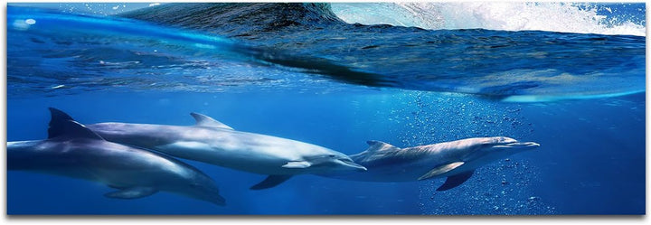 Wandbild auf Leinwand als Panorama in 150x50cm Ozean Welle Delfine Unterwasser
