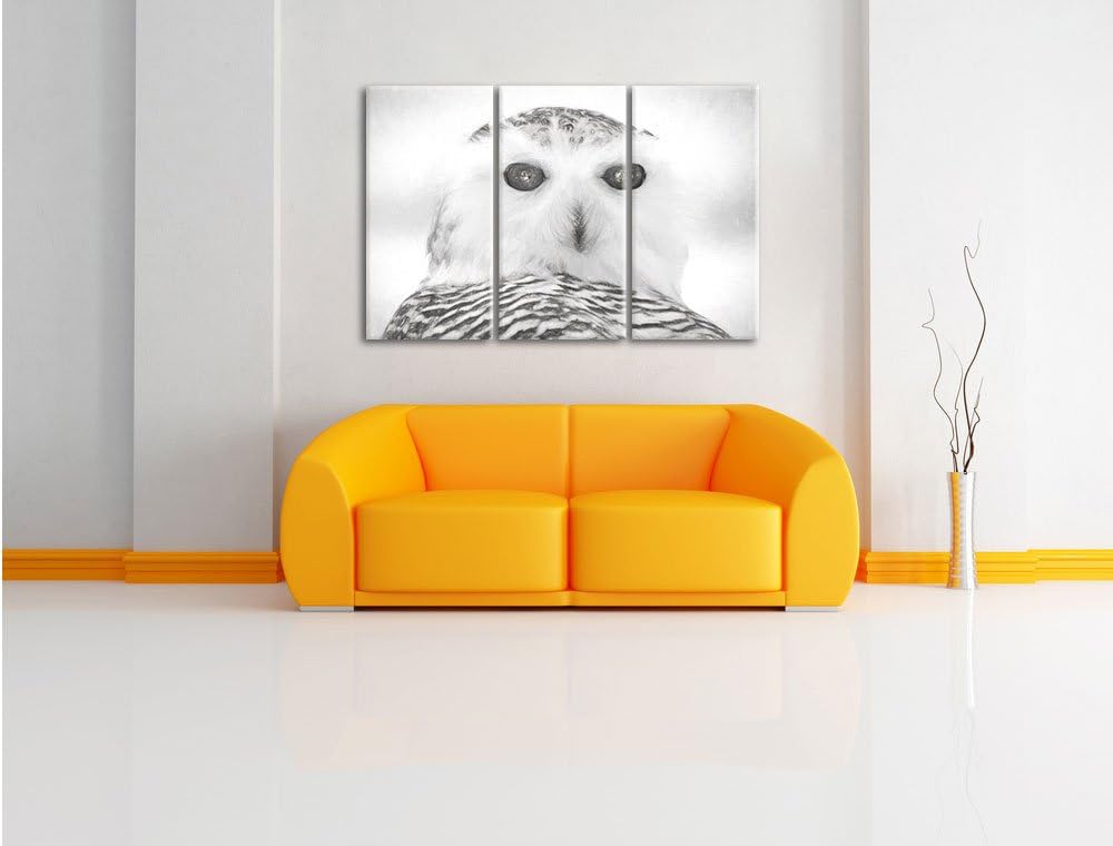 Pixxprint Schnee-Eule als Leinwandbild/Grösse: 3 Teilig (120x80) cm/Wandbild/Kunstdruck/fertig bespa