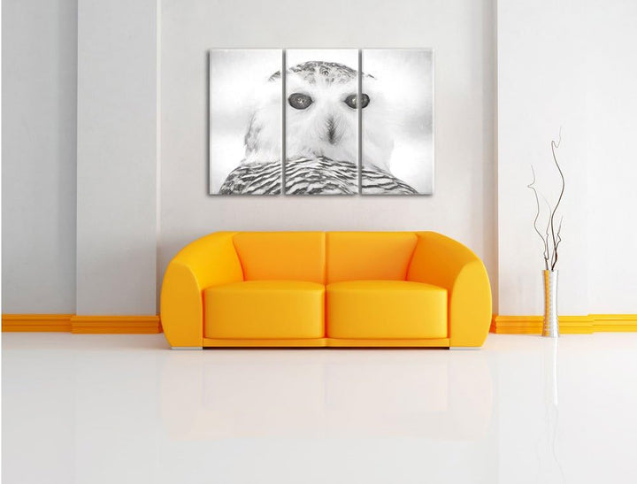 Pixxprint Schnee-Eule als Leinwandbild/Grösse: 3 Teilig (120x80) cm/Wandbild/Kunstdruck/fertig bespa
