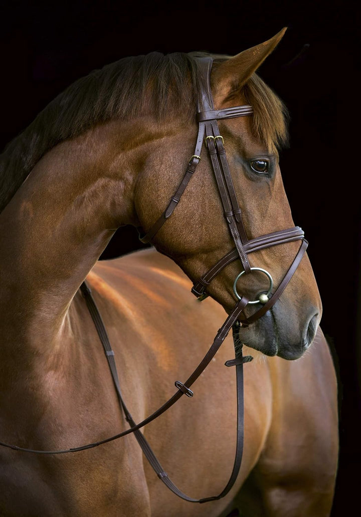 KERBL Trensenzaum Classic Braun Pony, Braun Pony
