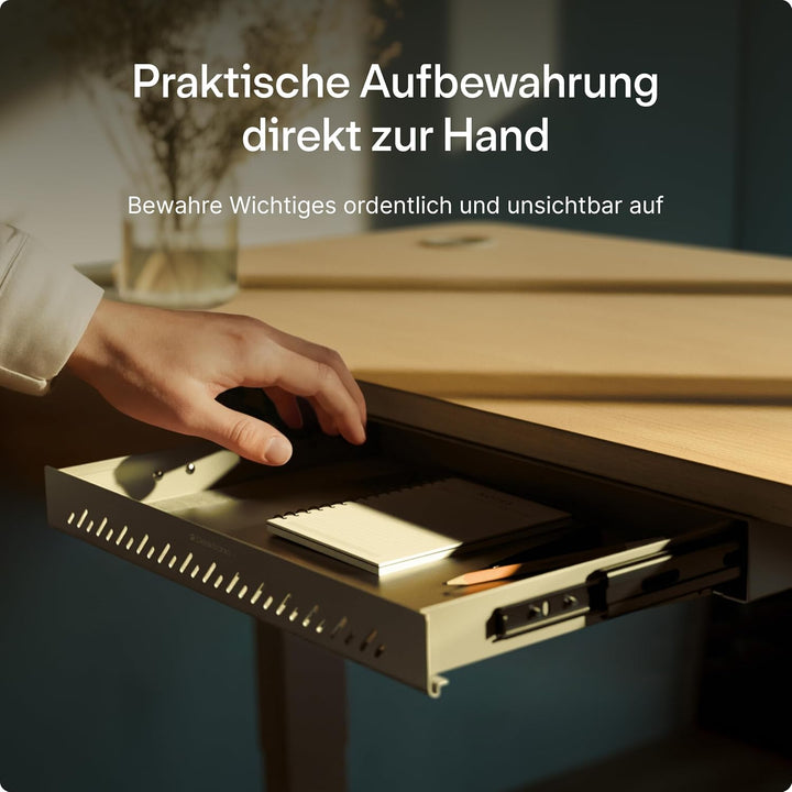 Desktronic Schreibtisch-Organizer, Untertisch-Aufbewahrungsbox, Schreibtisch für Büro Schule Homeoff