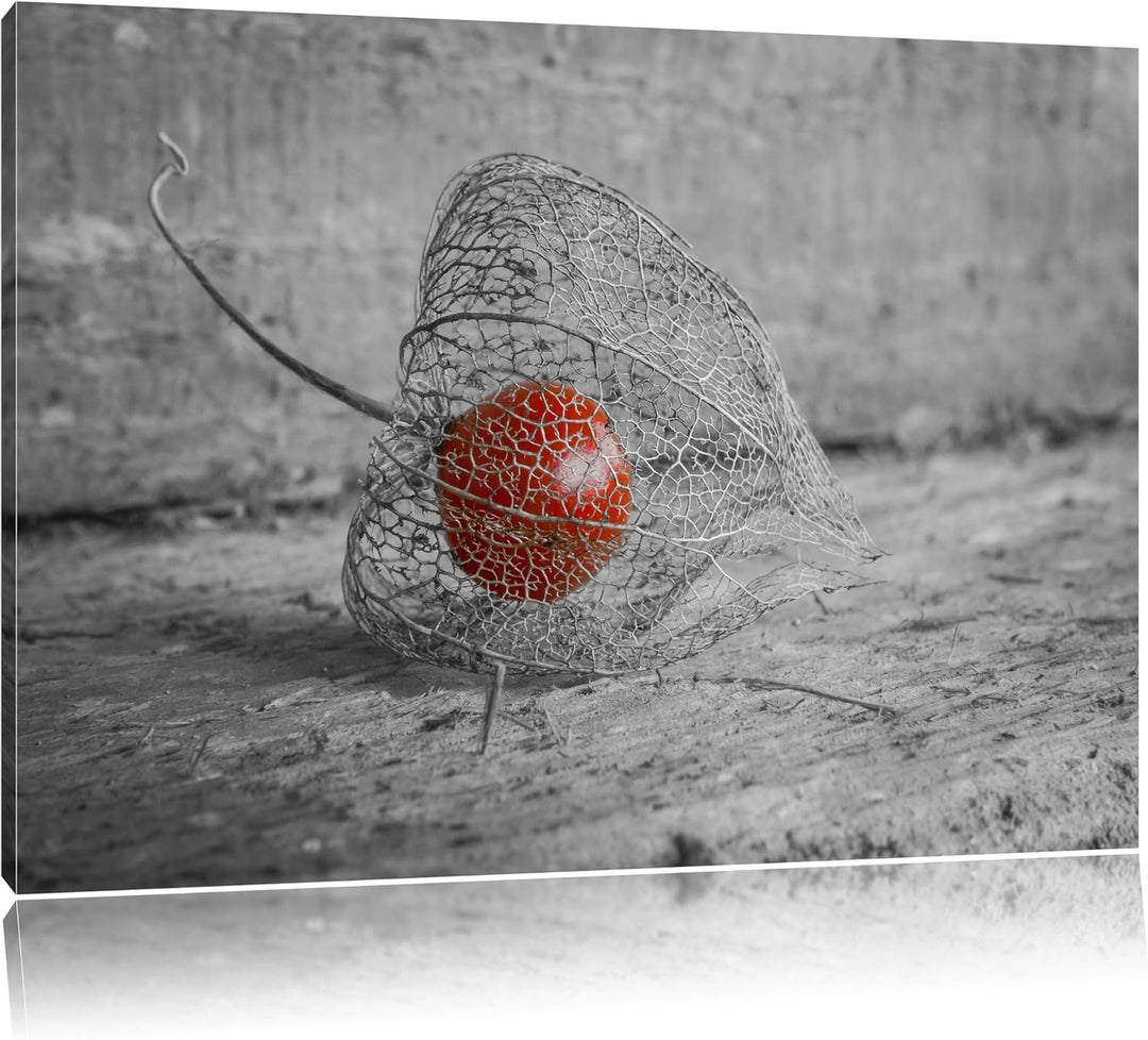 leckere Physalis in Schale schwarz/weiss Format: 100x70 auf Leinwand, XXL riesige Bilder fertig gera