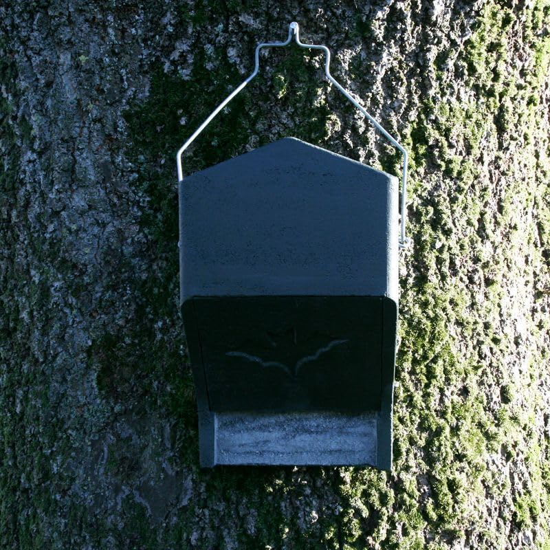 Fledermaus Grossraumkasten für Kleinfledermäuse aus Holzbeton | Fledermausquartier | Fledermauswoche