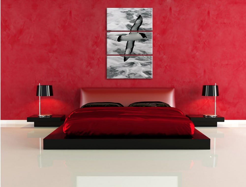 Pixxprint prächtige Möwe fliegt über Wasser 3-Teiler Leinwandbild 120x80 Bild auf Leinwand