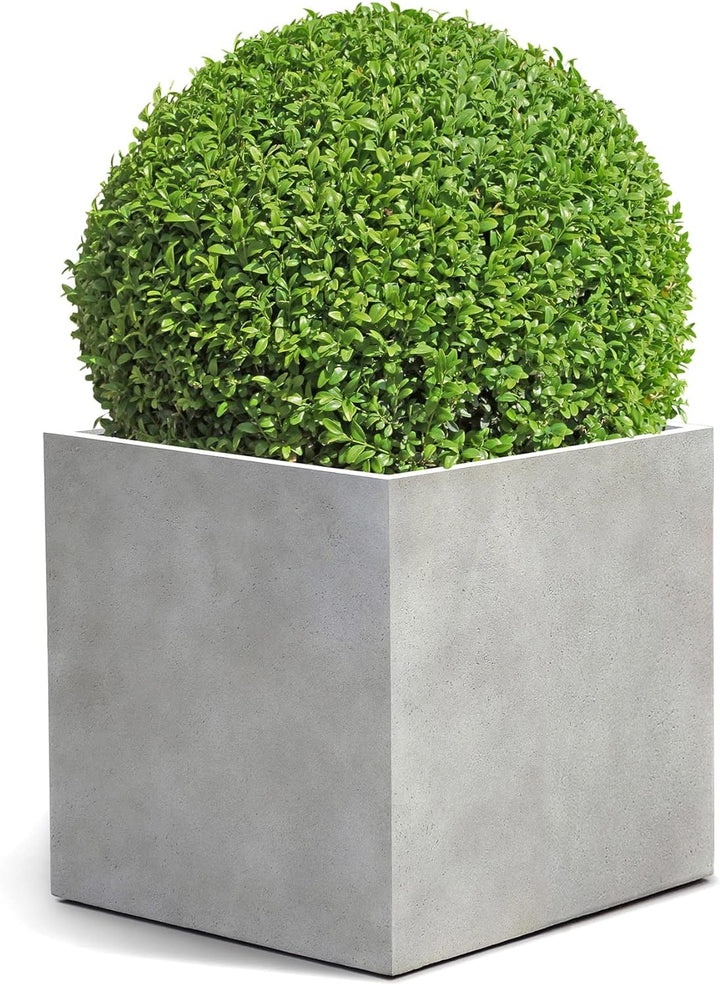 ESCHBACH® Pflanzkübel Cube 30 Beton Hell Grau Quadratisch * 30 x 30 x 30 cm * 10 Jahre Garantie 30x3
