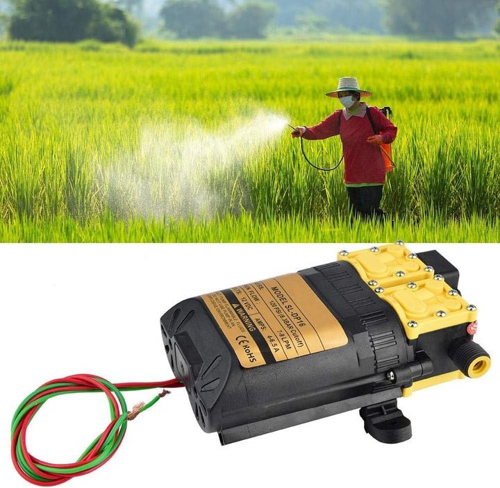 Duokon Elektrische Landwirtschafts-Wasserpumpe mit hohem Druck der Wasserpumpe mit hohem Druck von D