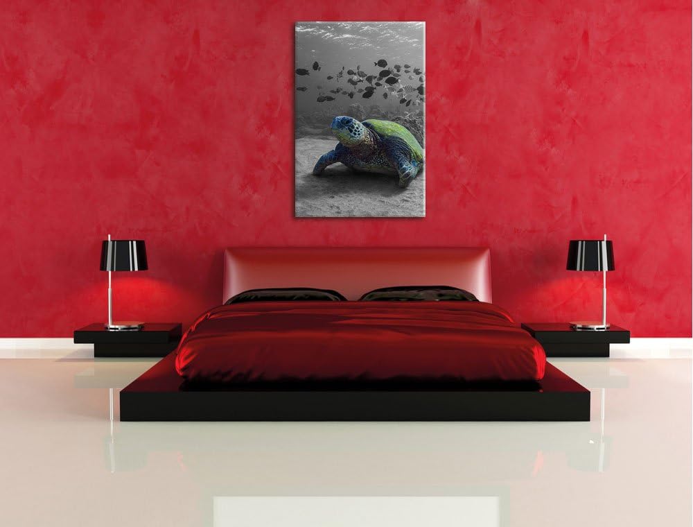 Pixxprint Schildkröte im Ozean schwarz/weiss als Leinwandbild/Grösse: 100x70 / Wandbild/Kunstdruck/f