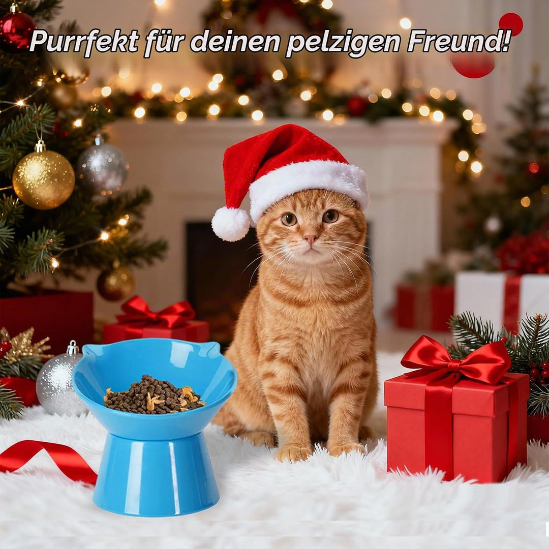 Futternapf Katze,Katzennapf Erhöht mit 15° Neigung Fressnapf Katze,Anti-Erbrechen Katzennäpfe für Fu