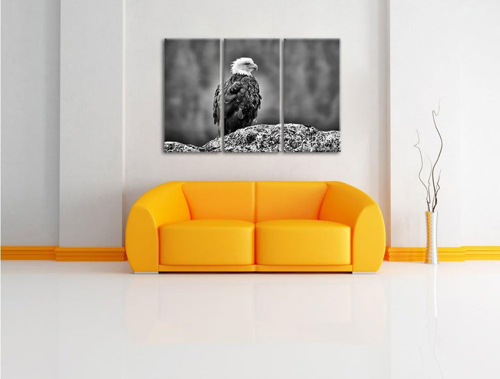 Pixxprint wachsamer Adler auf Fels als Leinwandbild/Grösse: 3 Teilig (120x80) / Wandbild/Kunstdruck/