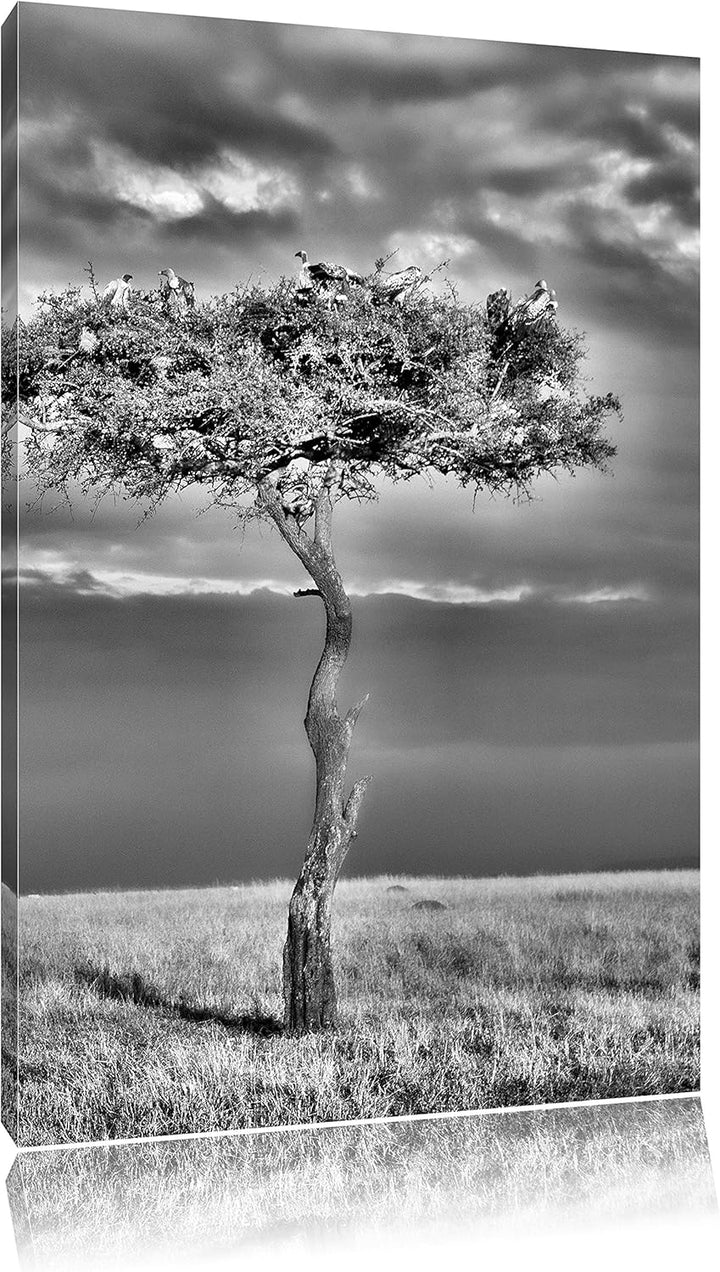 Pixxprint Monocrome, beeindruckender Geierschwarm in der Savanne, Format: 100x70 auf Leinwand, XXL r