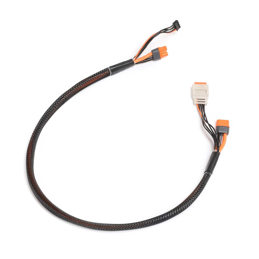 Spektrum Accessories SPMX-1014 Ladekabel mit Ball-Verlängerung, 61 cm (24 Zoll), IC3, 2-4S, SPMX-101