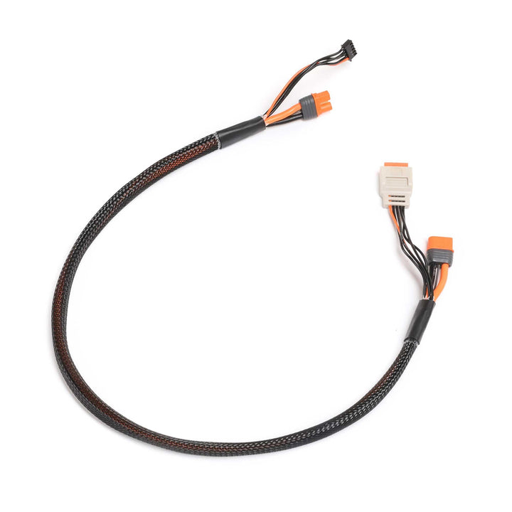 Spektrum Accessories SPMX-1014 Ladekabel mit Ball-Verlängerung, 61 cm (24 Zoll), IC3, 2-4S, SPMX-101