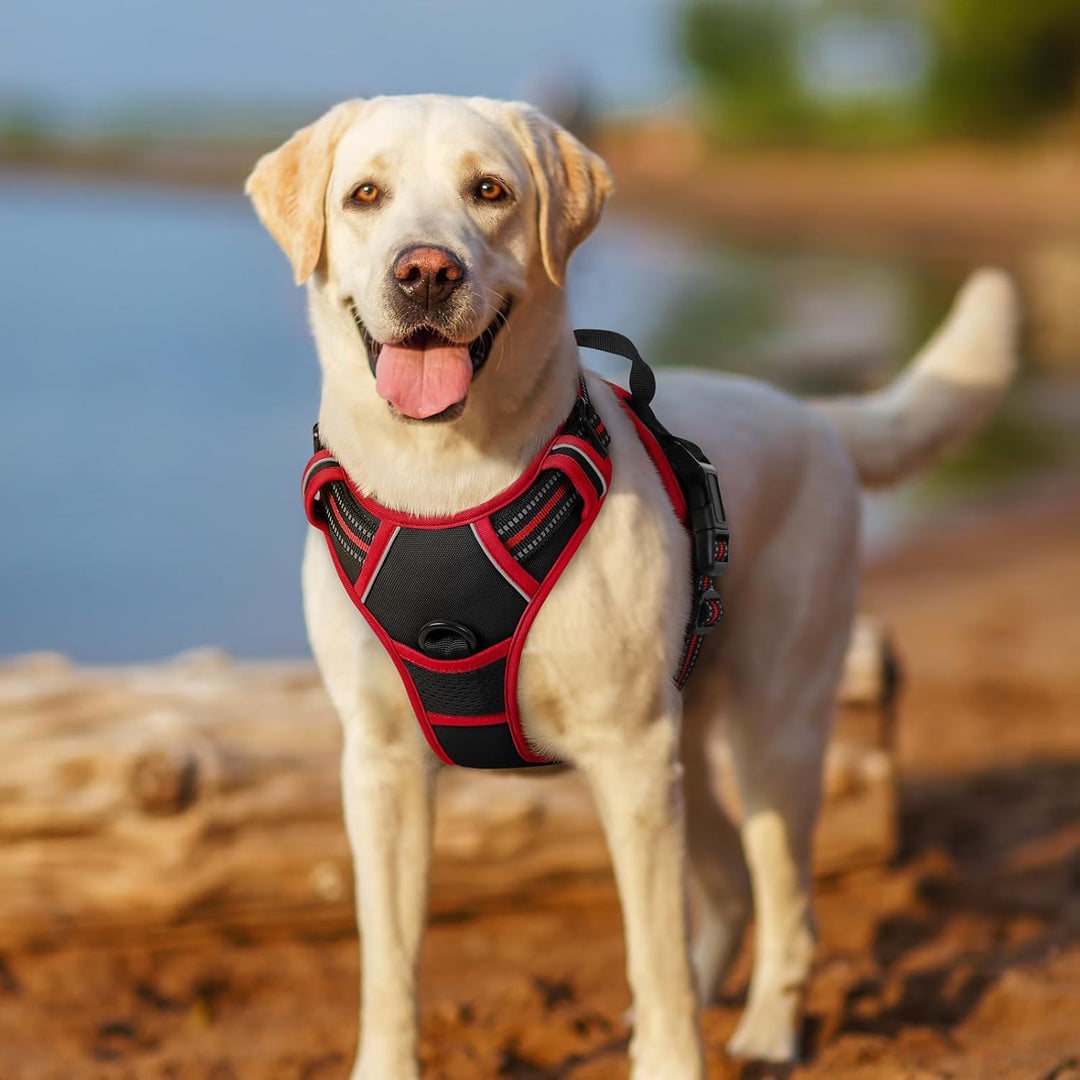 rabbitgoo Hundegeschirr Mittelgrosse Hunde, Anti Zug Geschirr mit Kontrolle, No Pull Verstellbar Hun