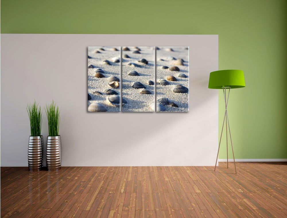 Pixxprint Muscheln im Sand als Leinwandbild | Grösse: 3 Teilig (120x80) | Wandbild| Kunstdruck | fer