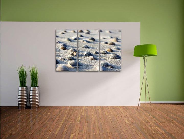 Pixxprint Muscheln im Sand als Leinwandbild | Grösse: 3 Teilig (120x80) | Wandbild| Kunstdruck | fer