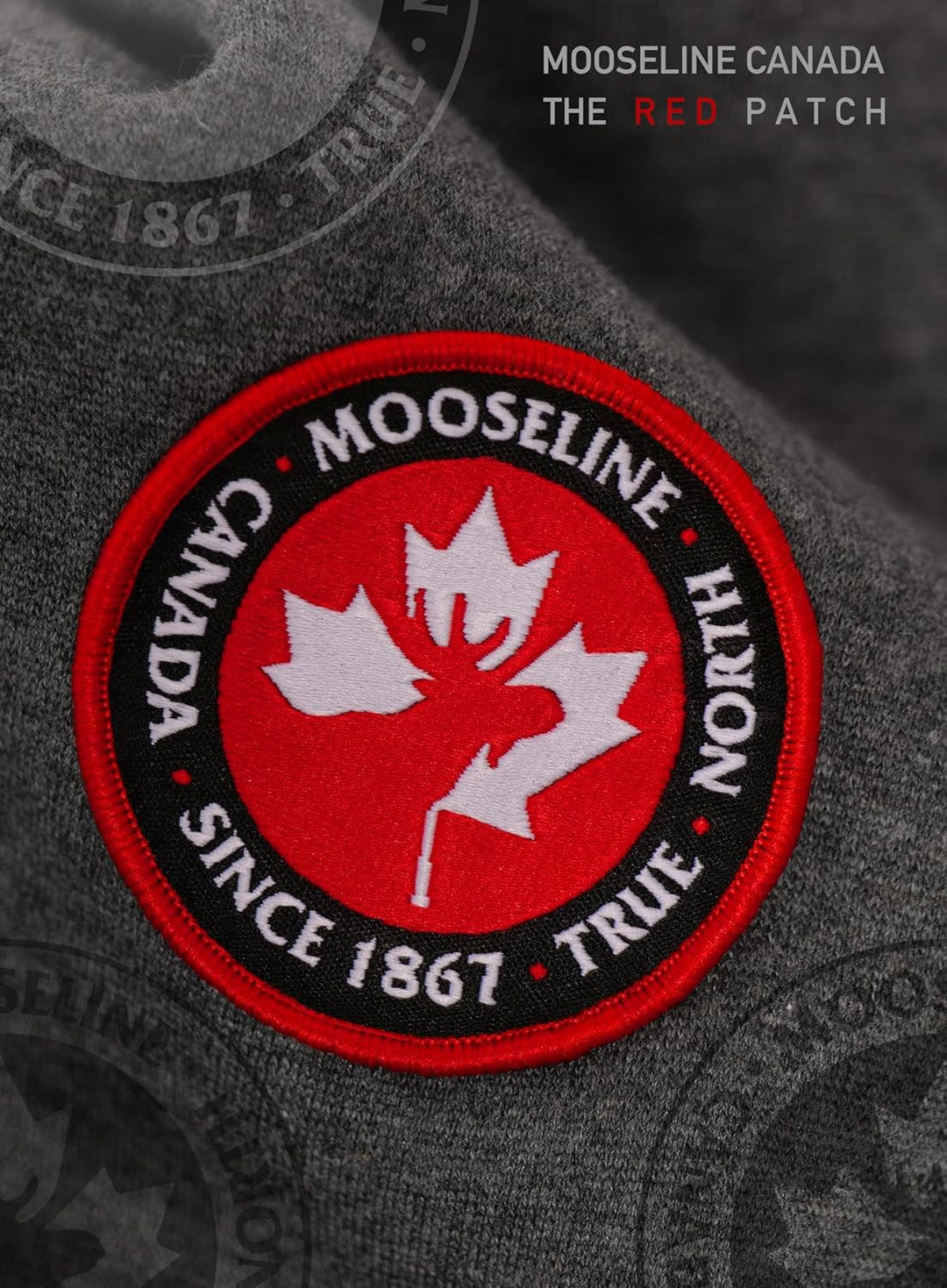 MOOSELINE Herren Sweatjacke Kapuzenjacke Trainingsjacke Hoodie mit Reissverschluss Sweat Jacke S Dun