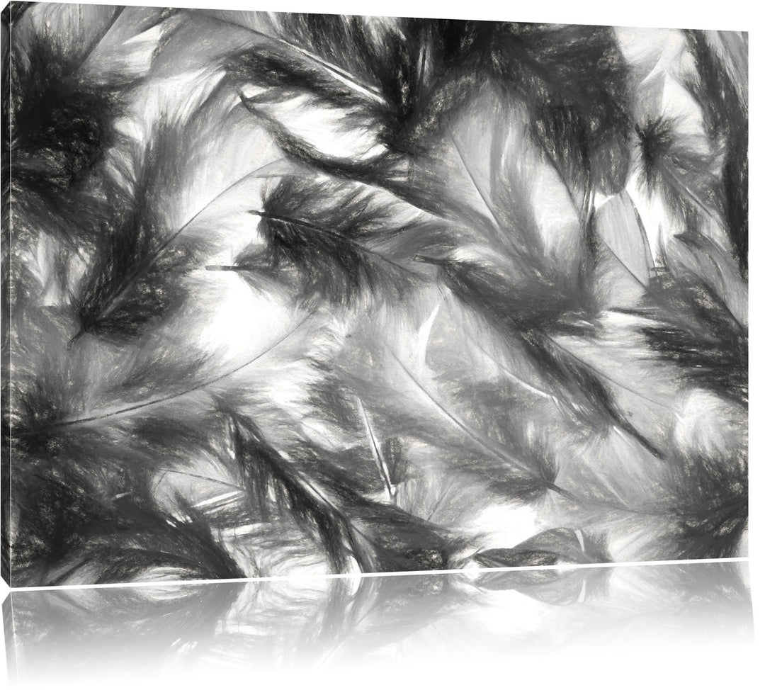 Pixxprint Anordnung von Federn als Leinwandbild/Grösse: 100x70 cm/Wandbild/Kunstdruck/fertig bespann