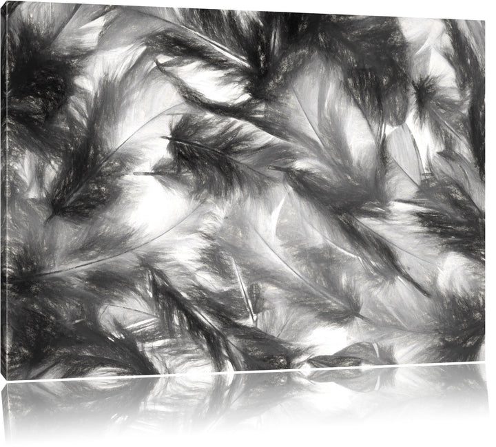 Pixxprint Anordnung von Federn als Leinwandbild/Grösse: 100x70 cm/Wandbild/Kunstdruck/fertig bespann