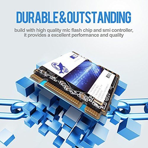 Dogfish SSD M.2 2242 1TB Solid State Drive Ngff Internen Desktop Computer 6Gb/s High Performance Fes