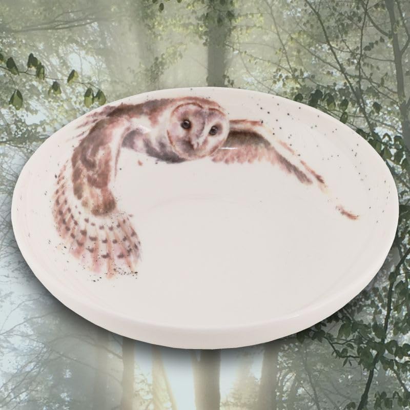 Wrendale Designs Porzellan Pasta- & Suppenteller Eule ca. 22cm D Royal Worcester tiefer Suppen-Telle