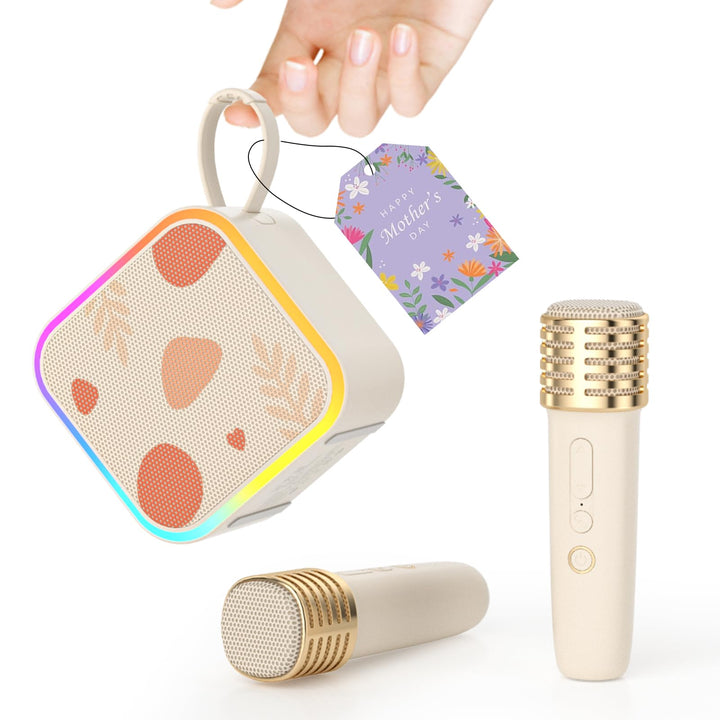 Mini Karaoke-Maschine 2 kabellose Mikrofone, tragbare Bluetooth Karaoke-Lautsprecher mit Tragegriff