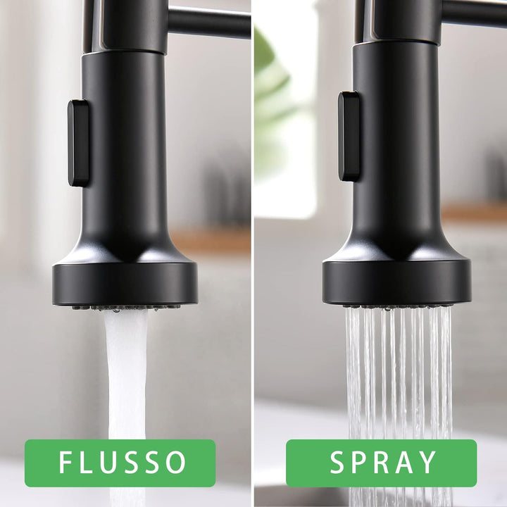 AIMADI Wasserhahn Küche, Küchenarmatur Ausziehbar mit 2 Strahlarten: Gesprüht & Strahl, Einhebelmisc