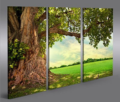 islandburner Bild Bilder auf Leinwand Alter Baum Landschaft Natur Grün 3p XXL Poster Leinwandbild Wa